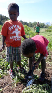 a-childs-garden-of-peace