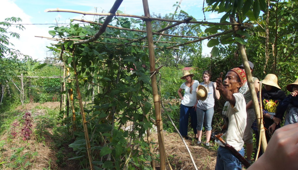Teaching Sustainable Agriculture During the Human Force Camp