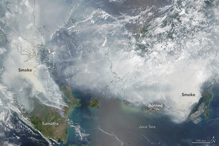 Seasonal fires occur in Kalimantan each year, peaking in the dry season of late summer and early fall. Slash-and-burn deforestation to clear land for farming or other agriculture still takes place, and fires escape from already cleared land into adjacent forest. The swampy forests of the low-lying parts of these islands sit on thick layers of peat (un-decayed vegetation), which is extremely flammable when it dries out. The peat is exceptionally smoky when it burns.